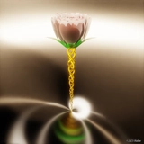 Chain Flower