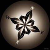 Compass Rose